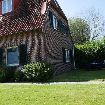 Apart-zwergmoewe-im-moewennest-tossens