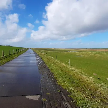 Apartamento Apart-zwergmoewe-im-moewennest-tossens Stick