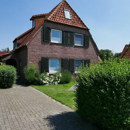 Apart-zwergmoewe-im-moewennest-tossens Stick