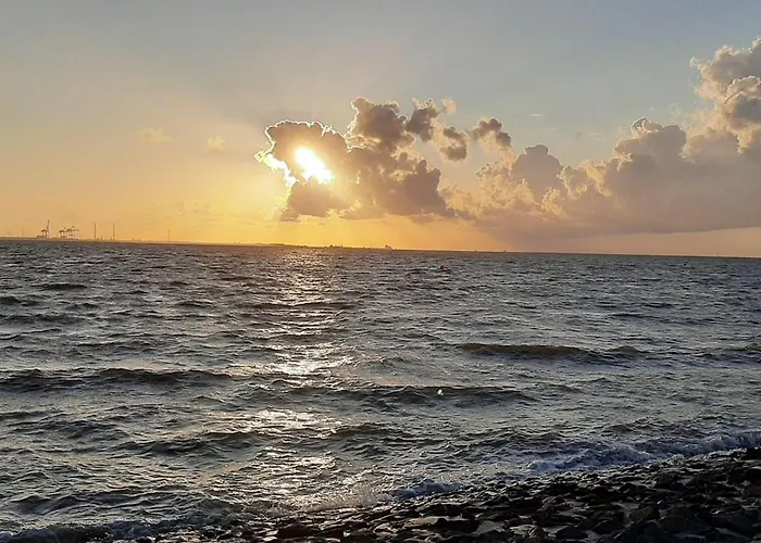 Apart-zwergmoewe-im-moewennest-tossens 公寓 *